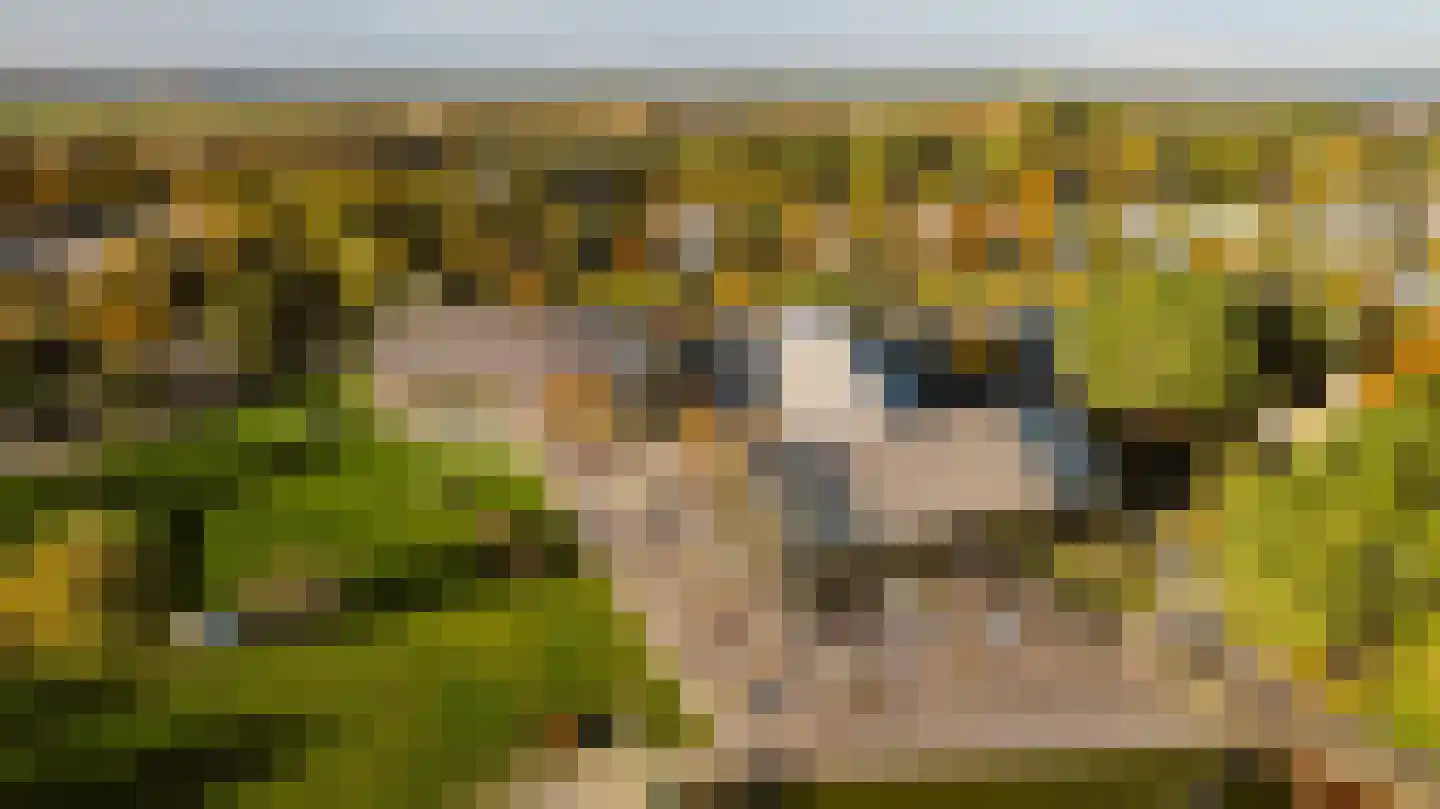 Vrijheidsweg 1 308 Ouddorp thumbnail 20