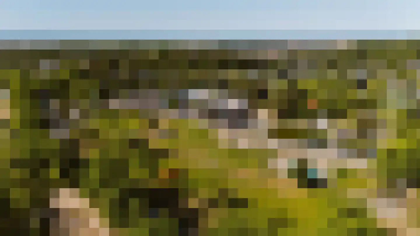 Vrijheidsweg 1 308 Ouddorp thumbnail 25