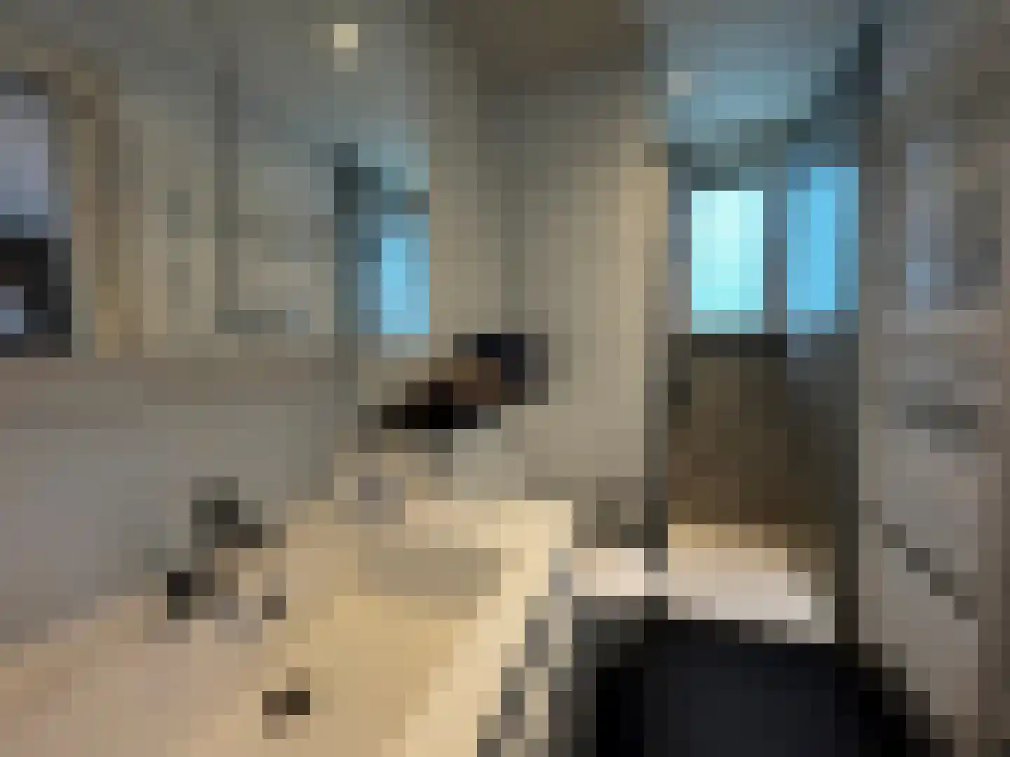 Vrijheidsweg 1 9 Ouddorp thumbnail 17