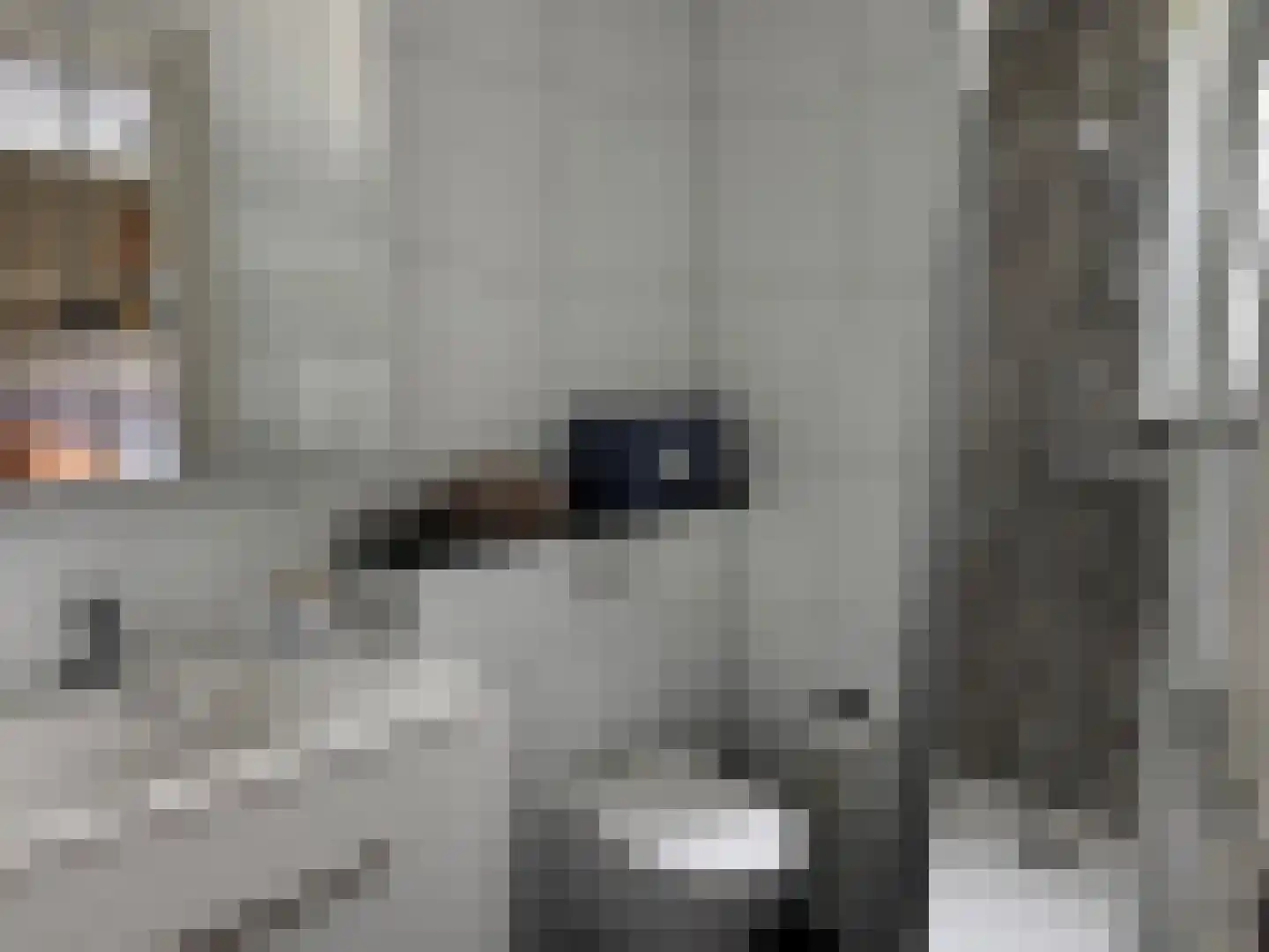 Vrijheidsweg 1 9 Ouddorp thumbnail 19