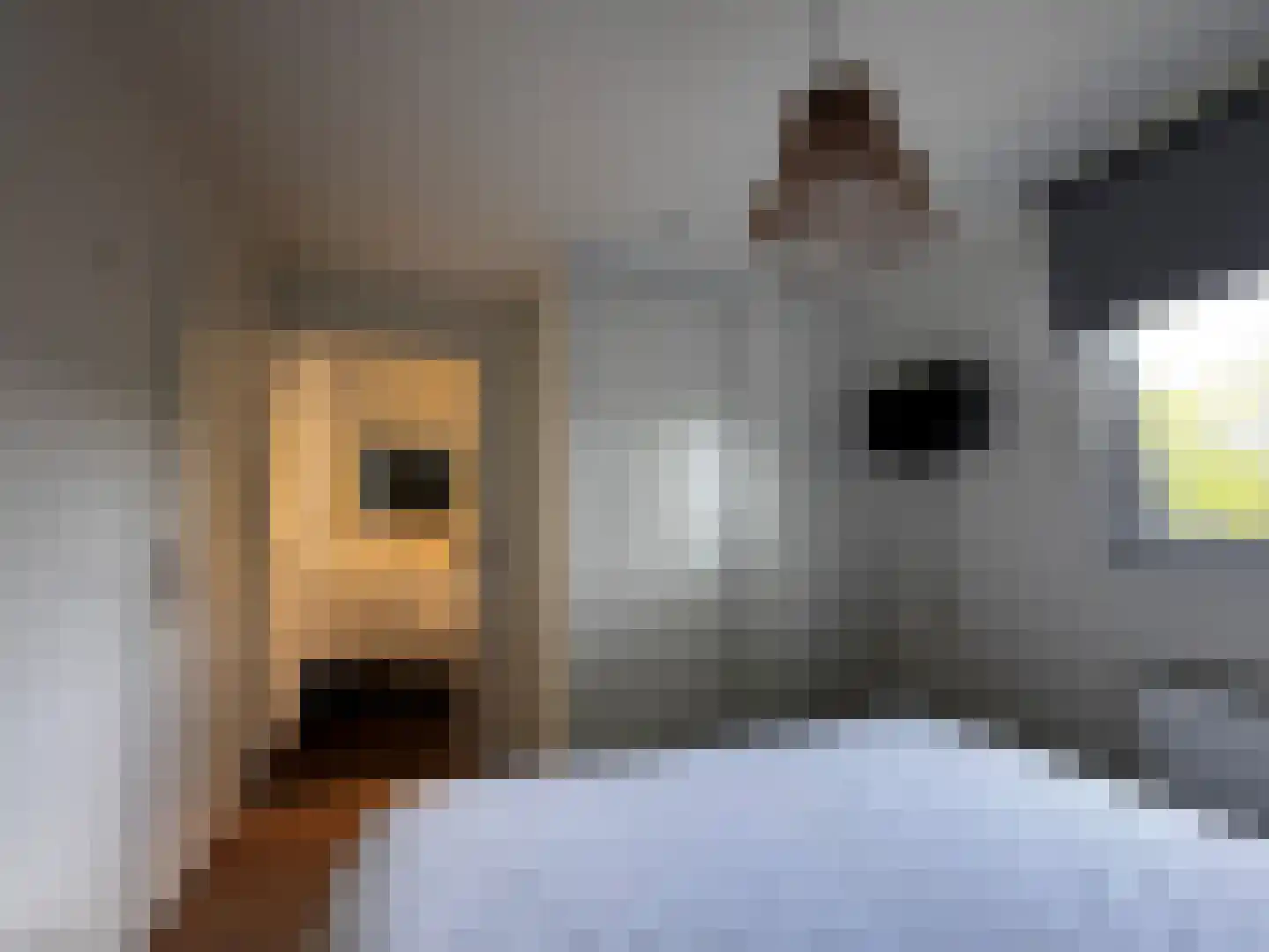 Vrijheidsweg 1 9 Ouddorp thumbnail 22