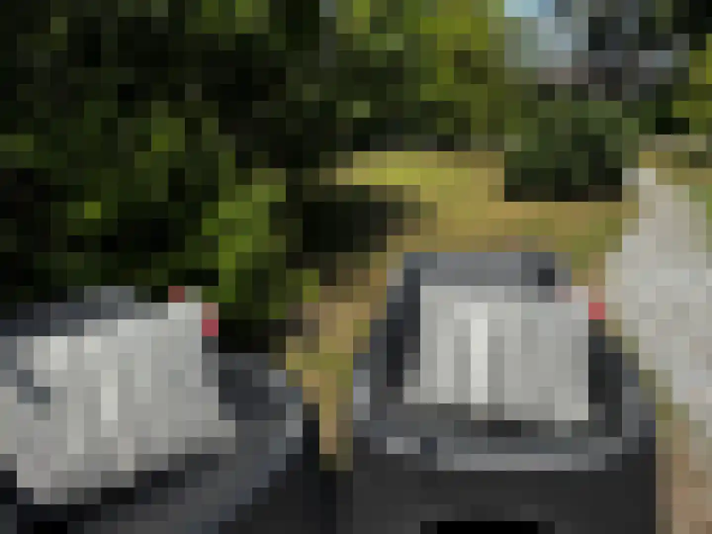 Vrijheidsweg 1 9 Ouddorp thumbnail 5