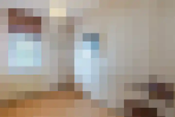 Vrijheidsweg 86 Haarlem thumbnail 17