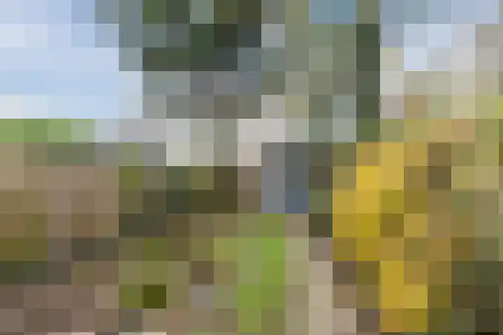 Vrijheidsweg 86 Haarlem thumbnail 24