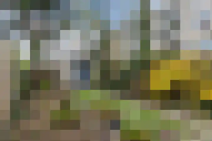 Vrijheidsweg 86 Haarlem thumbnail 25