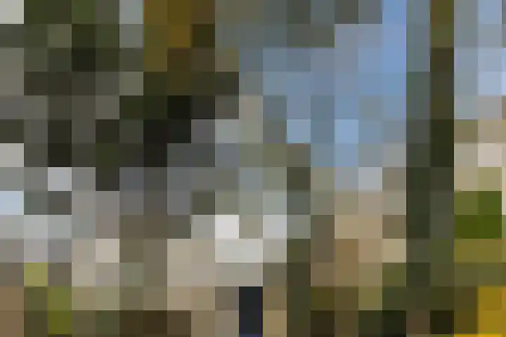 Vrijheidsweg 86 Haarlem thumbnail 26