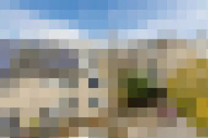 Vrijheidsweg 86 Haarlem thumbnail 28