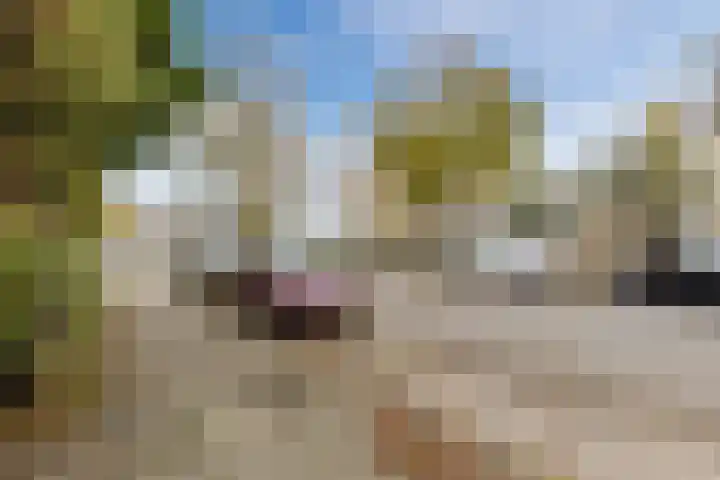 Vrijheidsweg 86 Haarlem thumbnail 31