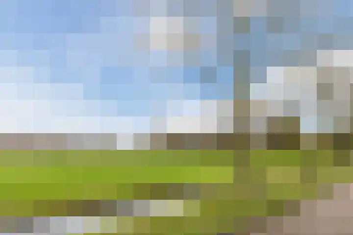 Vrijheidsweg 86 Haarlem thumbnail 32