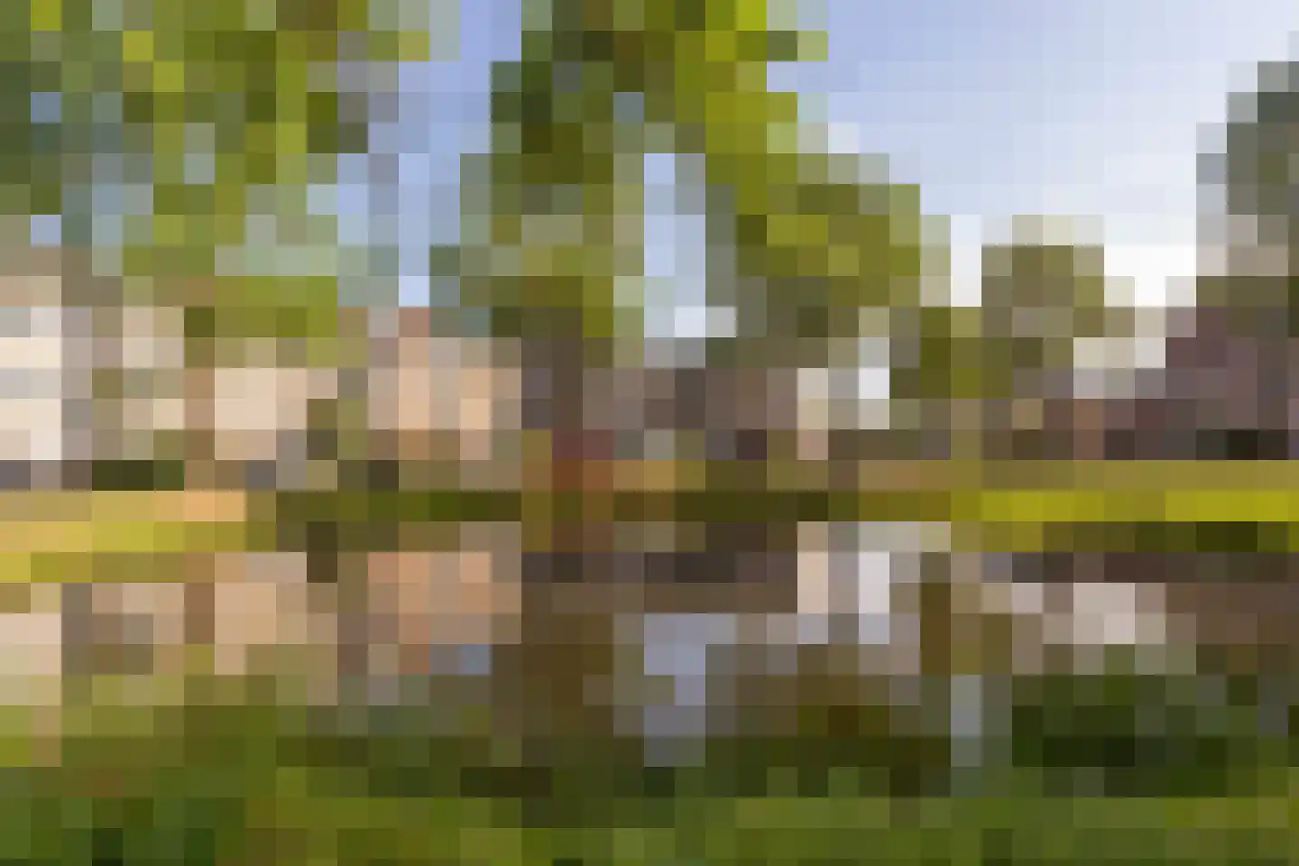 Vrijhoef 102 Leusden thumbnail 5