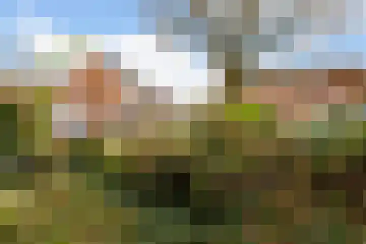 Vrijhoef 12 Leusden thumbnail 27