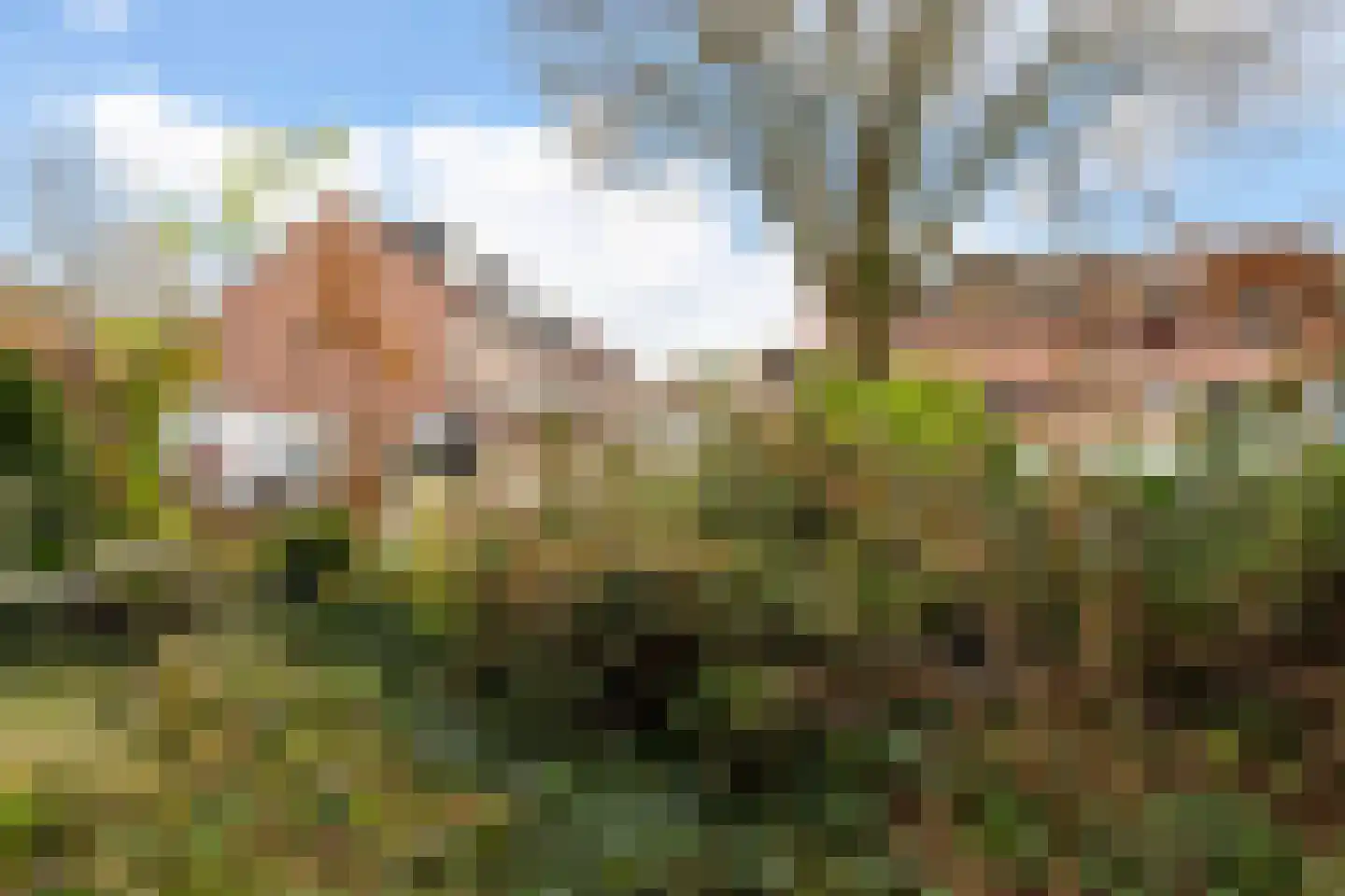 Vrijhoef 12 Leusden thumbnail 28