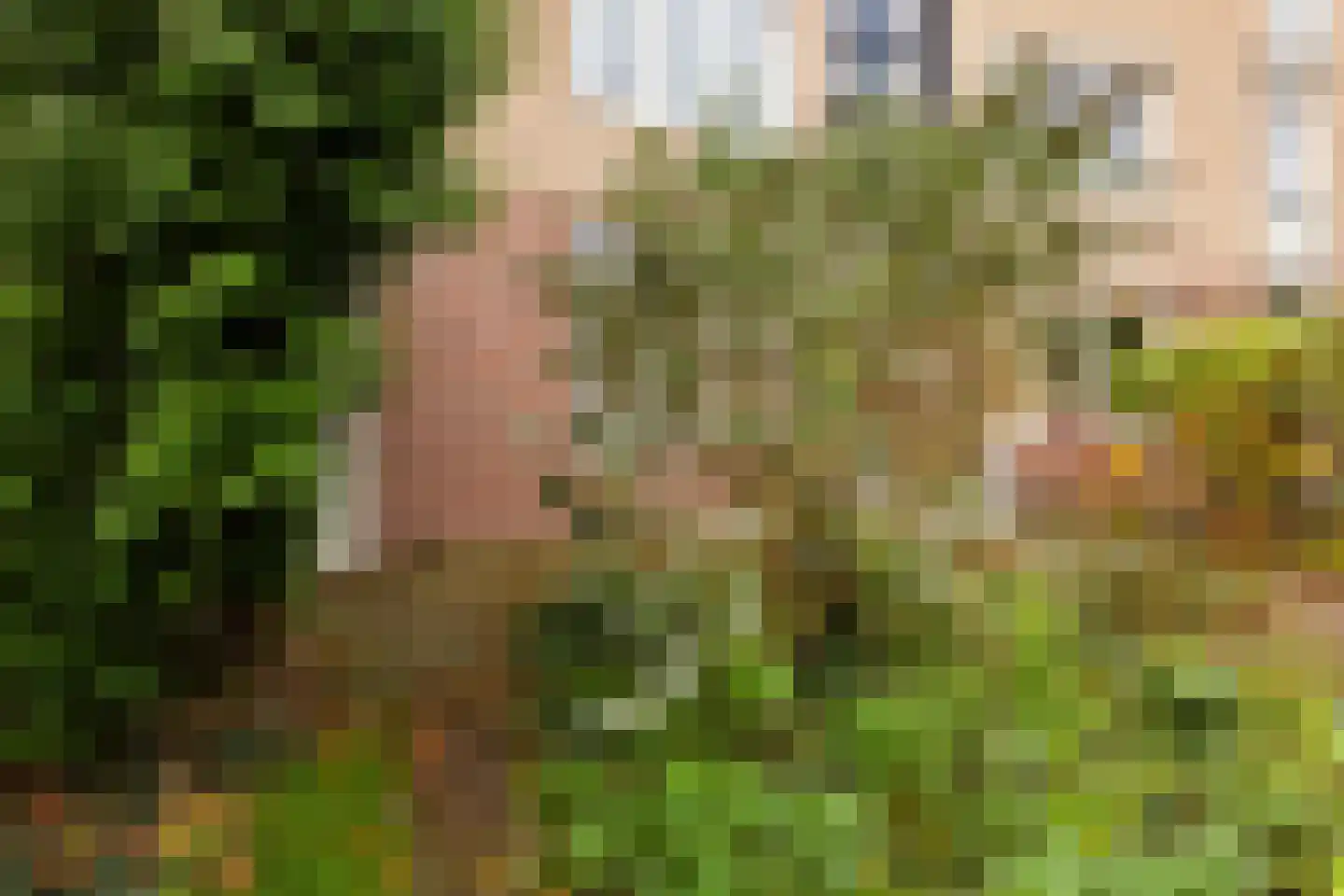Vrijhoef 12 Leusden thumbnail 32