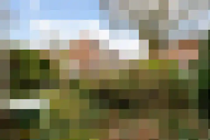 Vrijhoef 12 Leusden thumbnail 4