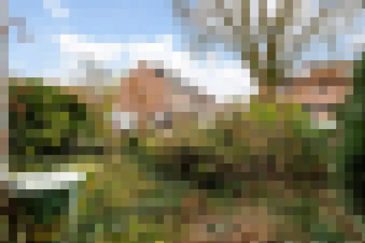 Vrijhoef 12 Leusden thumbnail 6