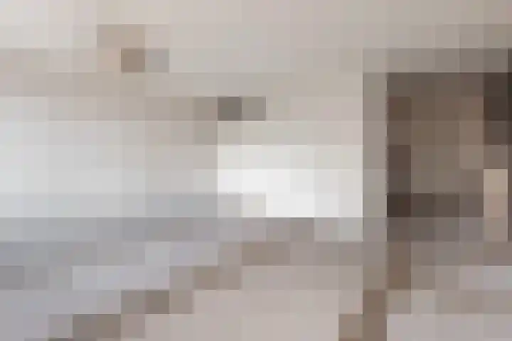 Vrijhoef 26 Leusden thumbnail 15