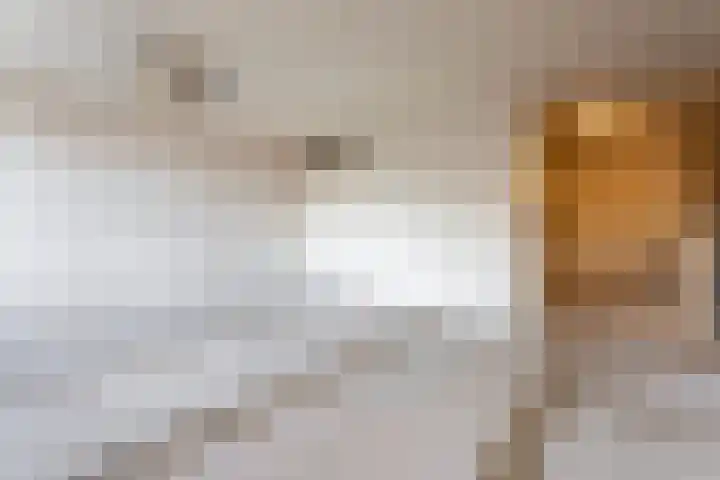 Vrijhoef 26 Leusden thumbnail 16