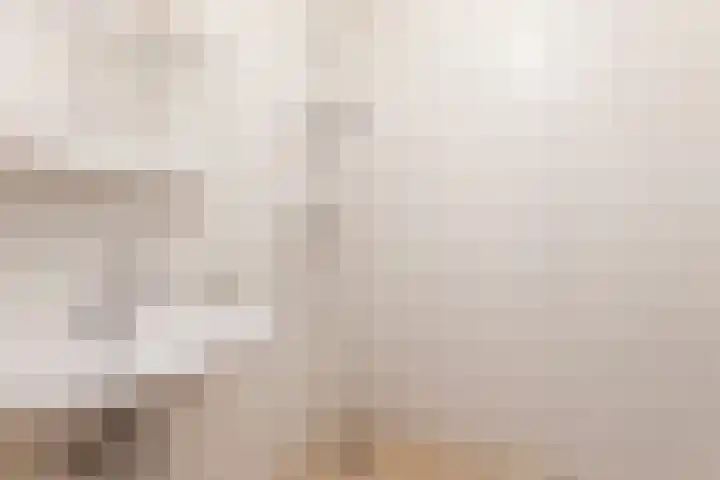 Vrijhoef 26 Leusden thumbnail 17