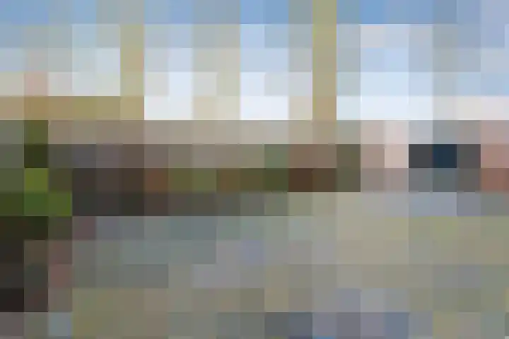 Vrijhoef 26 Leusden thumbnail 28