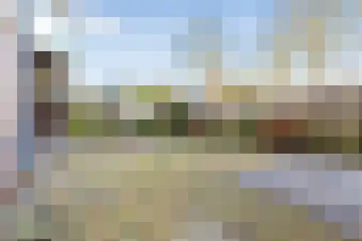 Vrijhoef 26 Leusden thumbnail 32