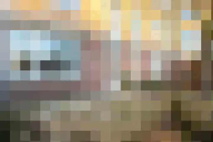 Vrijhoef 26 Leusden thumbnail 4