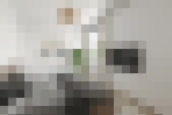 Vrijhoef 50 Leusden thumbnail 14