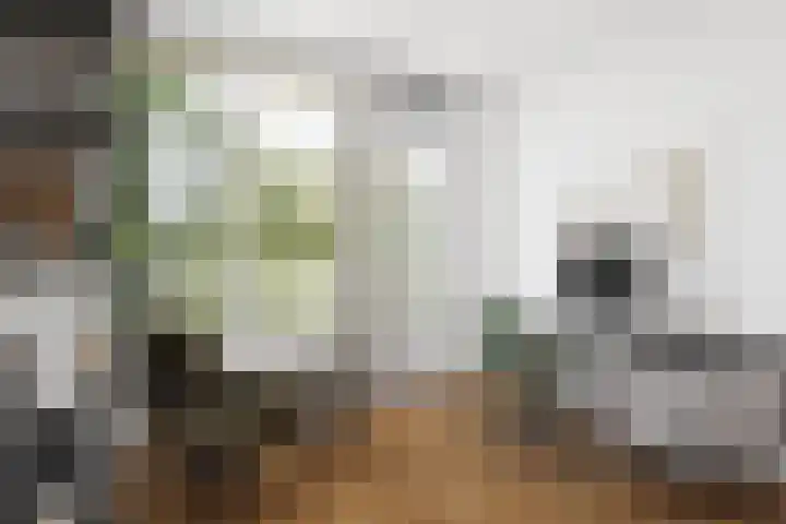 Vrijhoef 50 Leusden thumbnail 18