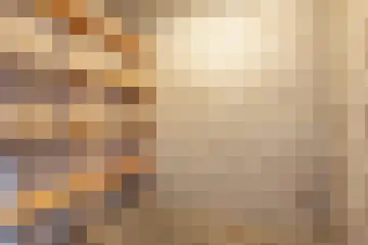 Vrijhoef 50 Leusden thumbnail 24