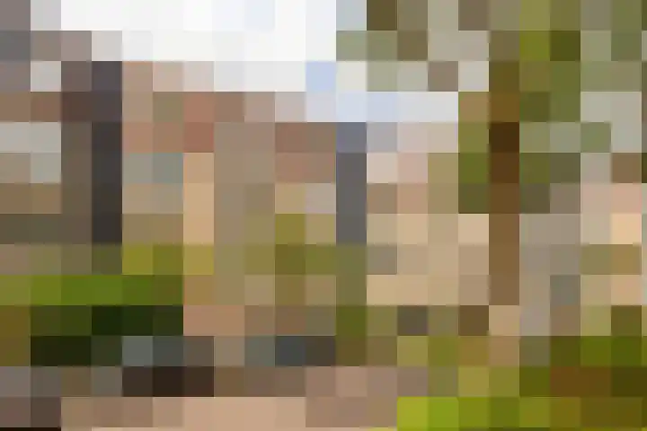 Vrijhoef 50 Leusden thumbnail 27