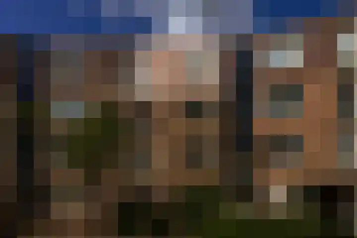 Vrijhoef 50 Leusden thumbnail 28