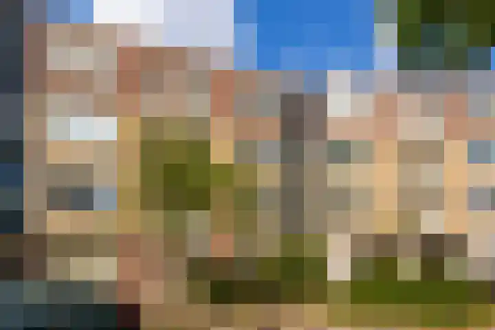 Vrijhoef 50 Leusden thumbnail 29
