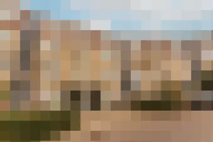 Vrijhoef 64 in Leusden