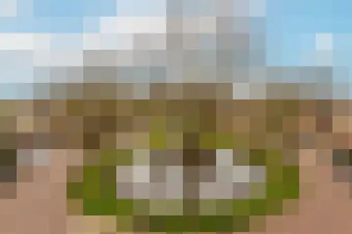 Vrijhoef 64 Leusden thumbnail 8