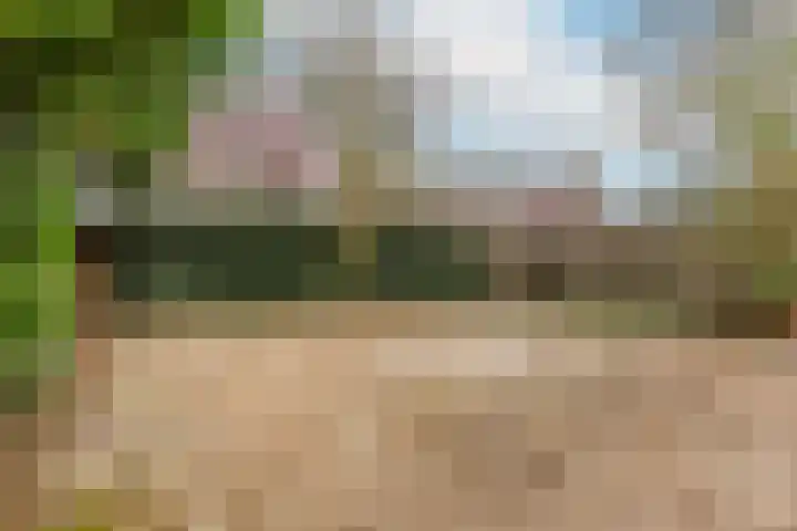 Vrijhoef 70 Leusden thumbnail 23