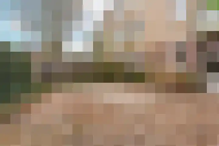 Vrijhoef 70 Leusden thumbnail 24