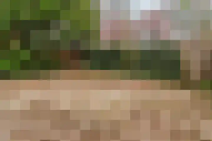 Vrijhoef 70 Leusden thumbnail 26