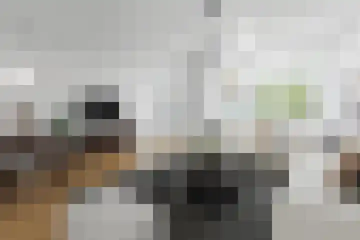 Vrijhoef 70 Leusden thumbnail 4