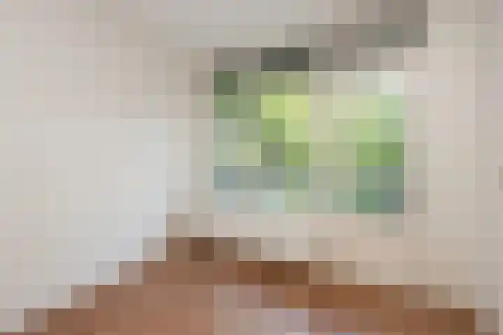 Vrijhoef 72 Leusden thumbnail 24