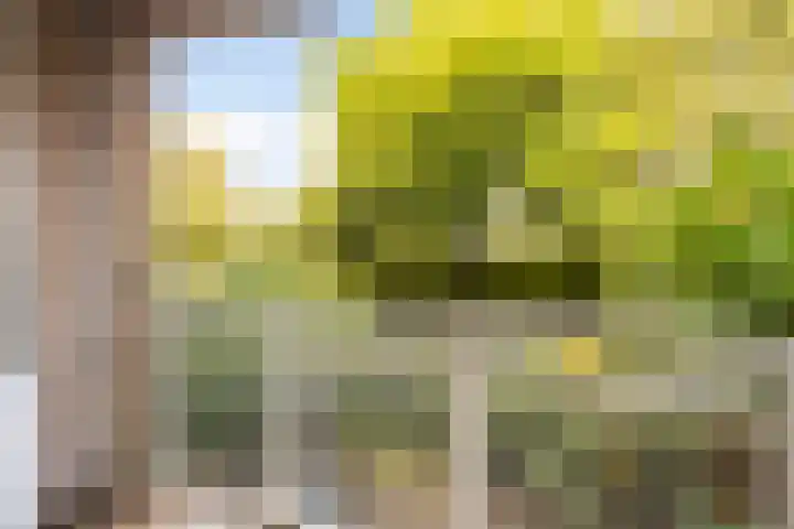 Vrijhoef 72 Leusden thumbnail 4