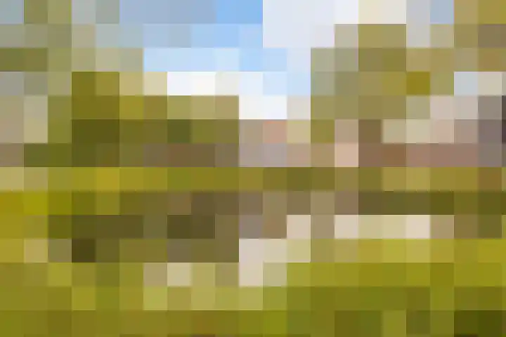 Vrijhoef 72 Leusden thumbnail 6