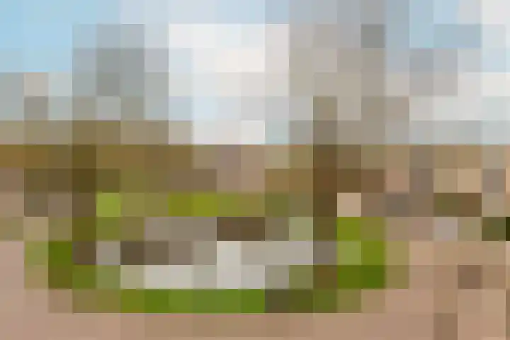 Vrijhoef 76 Leusden foto 2