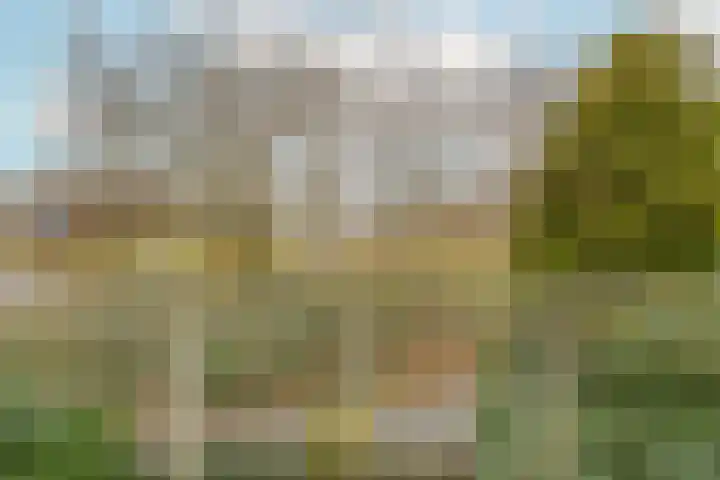 Vrijhoef 76 Leusden thumbnail 20
