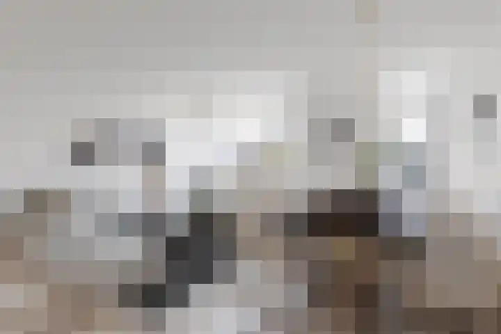 Vrijhoef 76 Leusden thumbnail 8