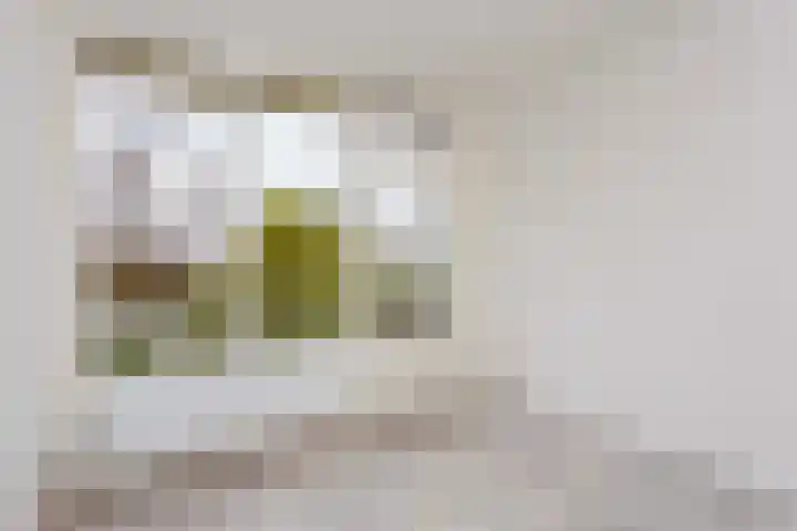 Vrijhoef 80 Leusden thumbnail 15