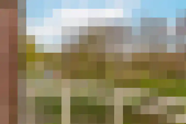 Vrijhoef 80 Leusden thumbnail 19