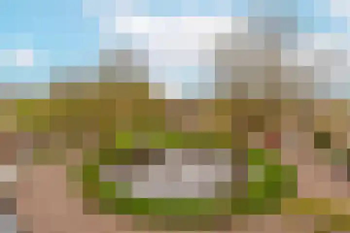 Vrijhoef 80 Leusden foto 2