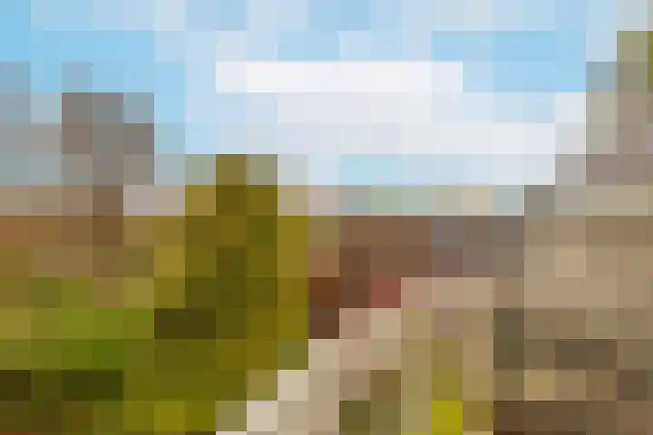 Vrijhoef 80 Leusden thumbnail 20