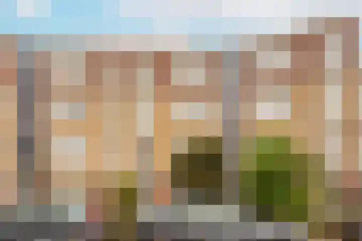 Vrijhoef 80 Leusden thumbnail 23