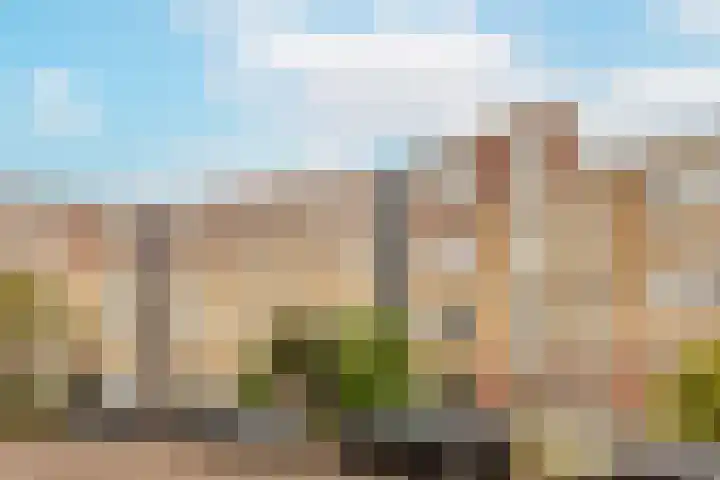 Vrijhoef 80 Leusden thumbnail 24