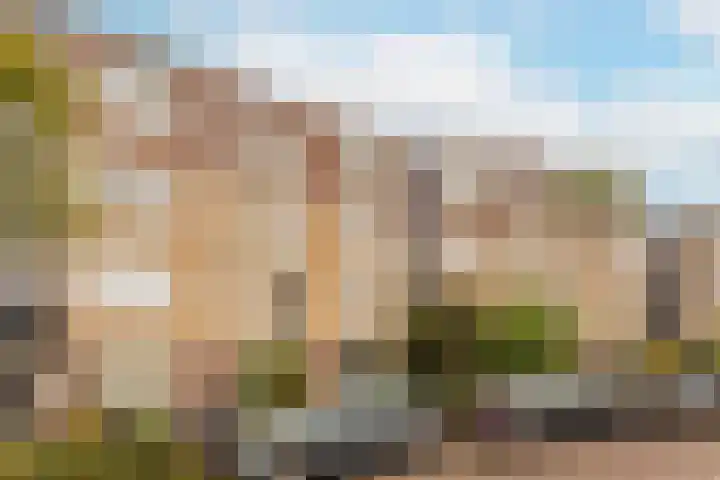 Vrijhoef 80 Leusden thumbnail 27